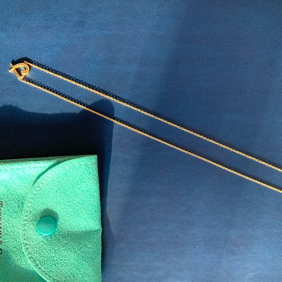 18k Gold Tiffany & Co. Paloma Picasso Necklace - Picture 2 of 5